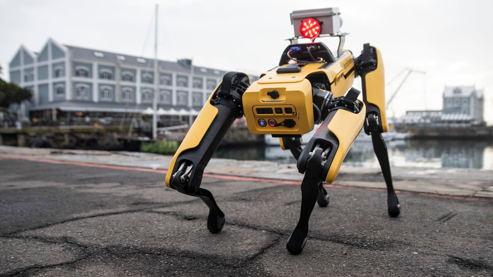 Exclusive: Boston Dynamics pledges not to weaponize its robots