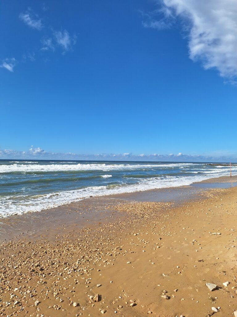 The Beach on Yemaya Day 2024